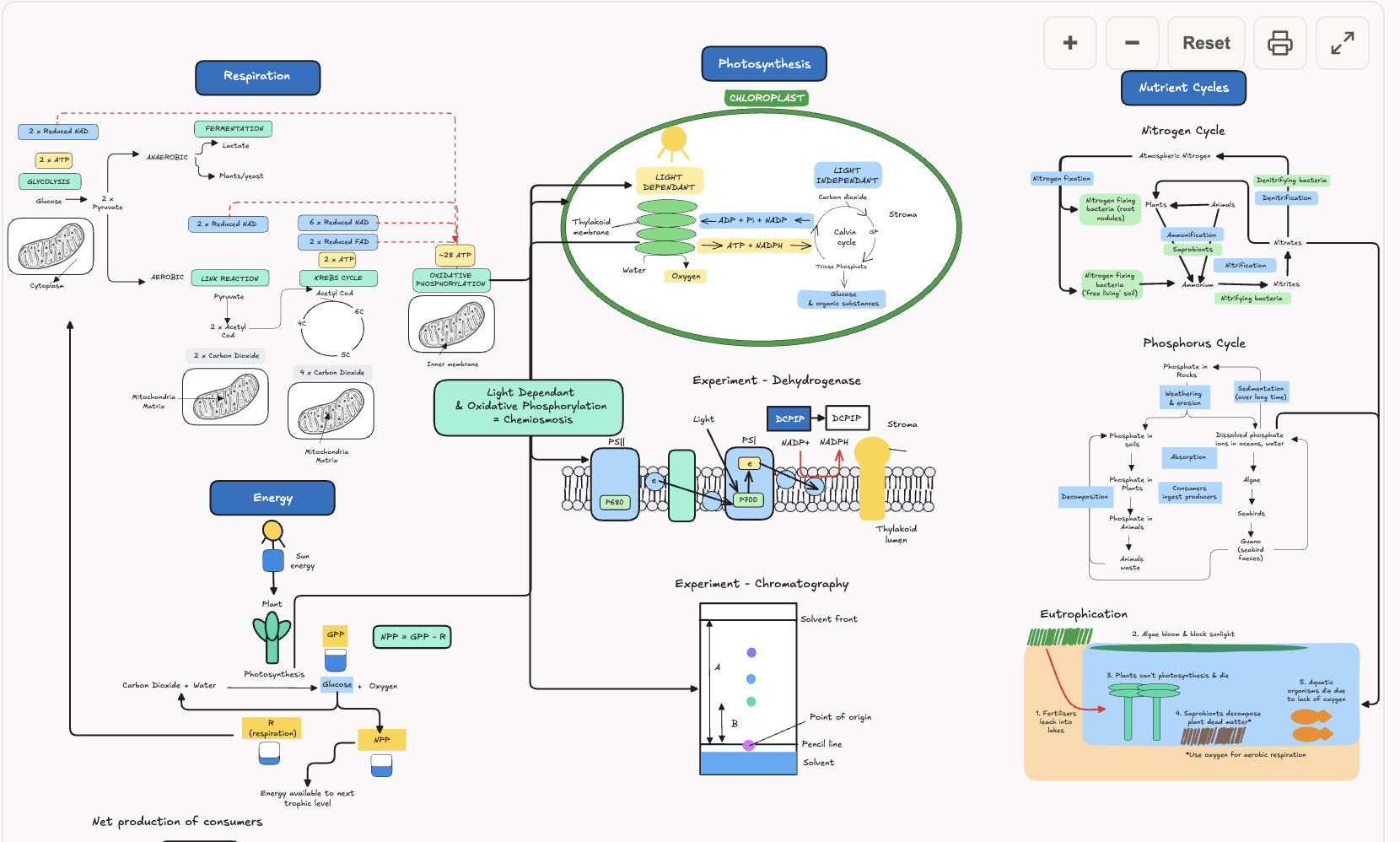 Mind Maps
