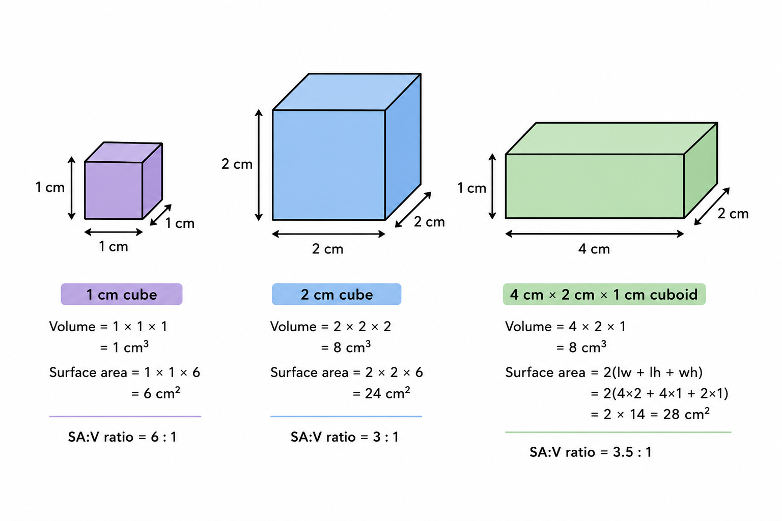 Surface Area to Volume Ratio