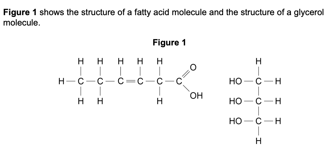 Figure for Q1.1