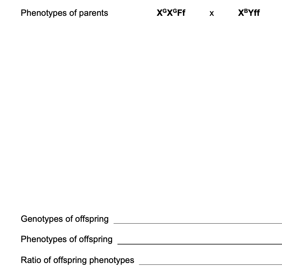 Genetic diagram