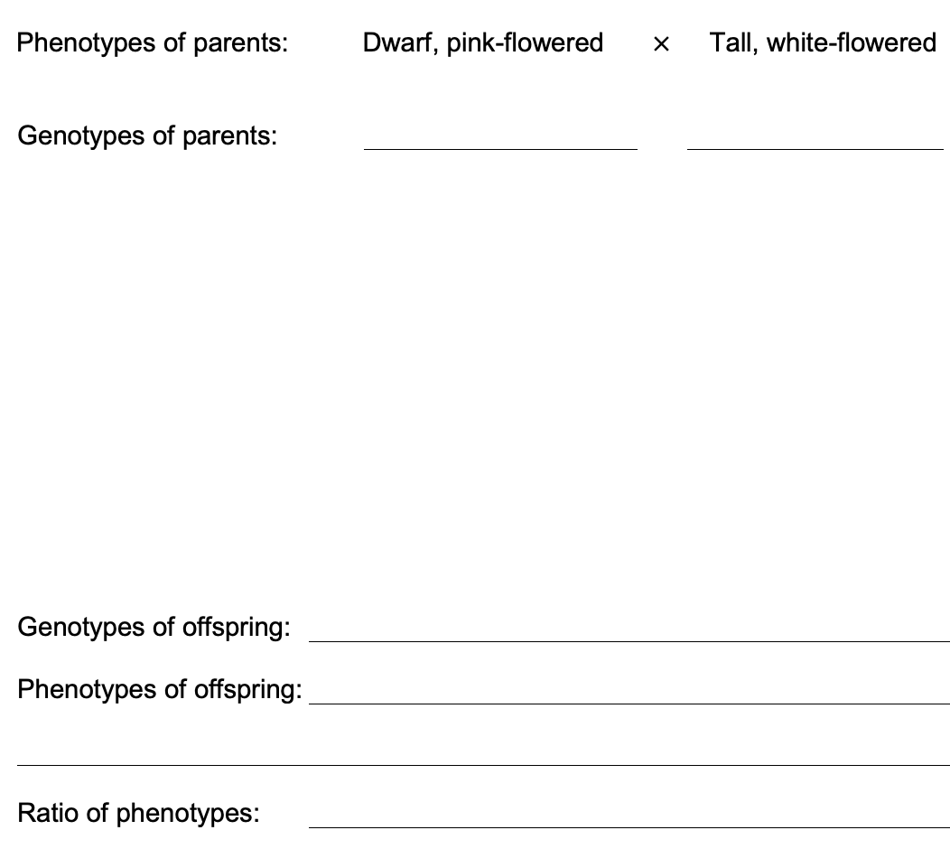 Genetic diagram
