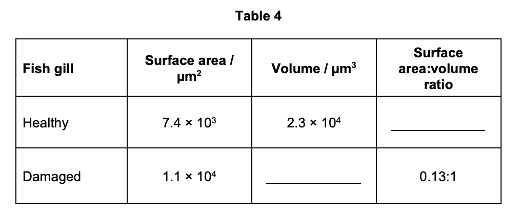 Table 4 — gill filament SA, volume, and SA:V data