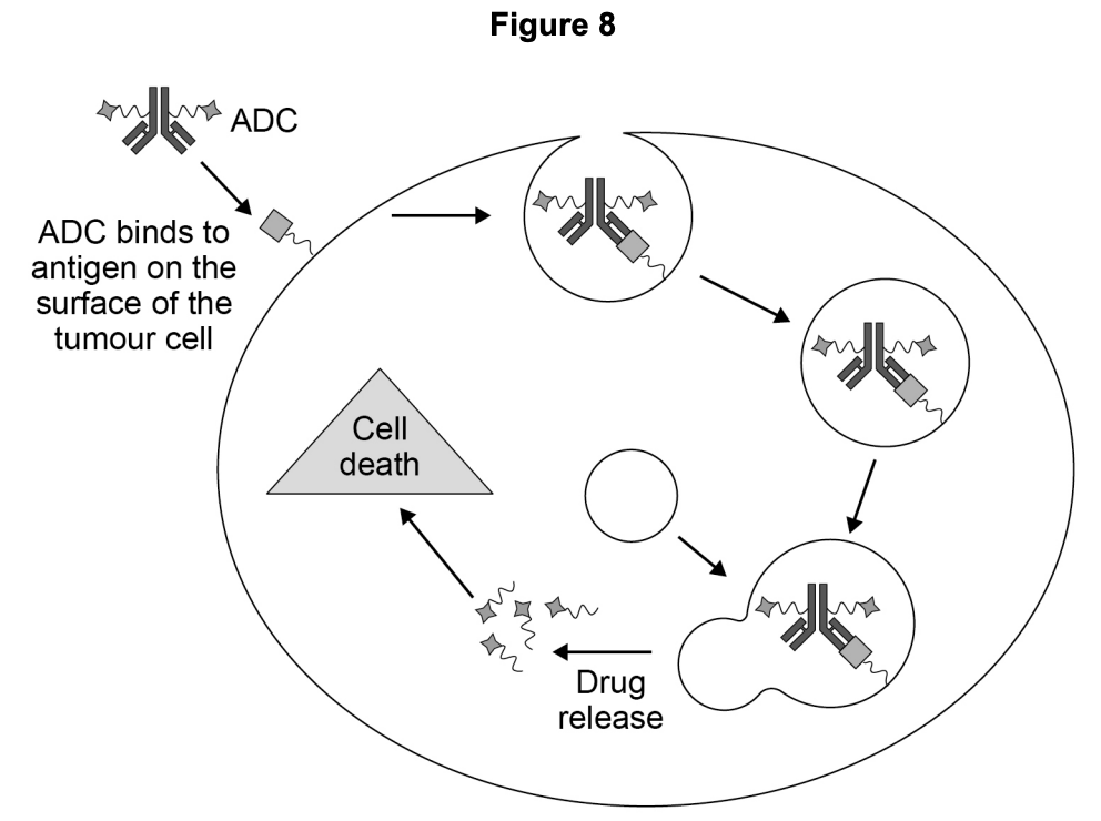 Figure for Q7.1