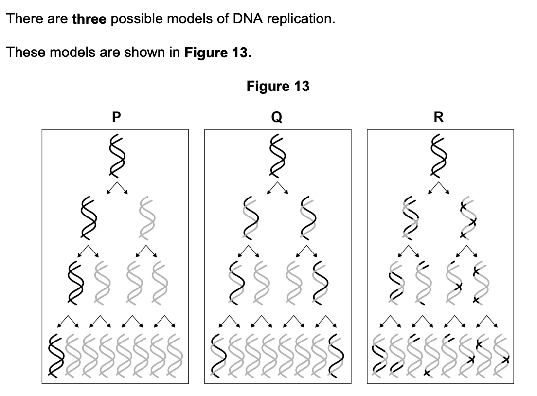 Figure B — actual experimental results showing DNA density bands at each generation